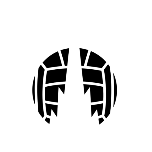 Logo Falkirk