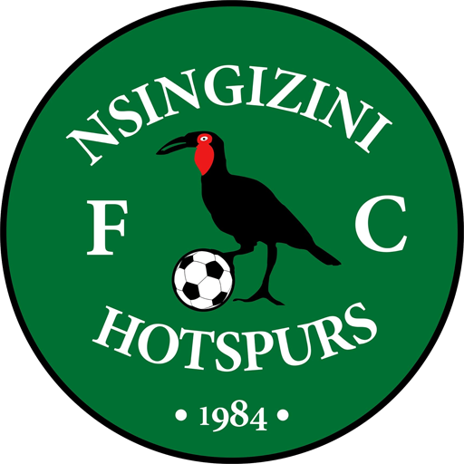 Logo Nsingizini Hotspurs