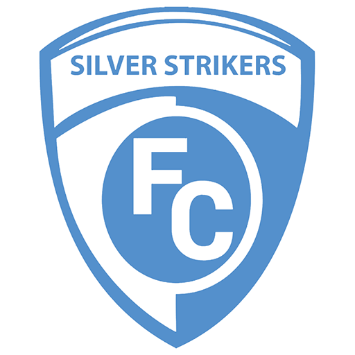 Logo Silver Strikers